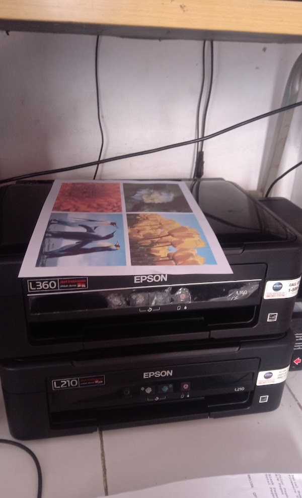 oppo_0